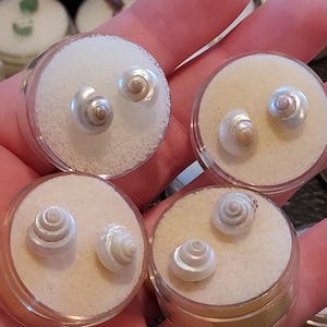 May include: Four pairs of small, iridescent seashell earrings displayed in clear plastic containers with white foam inserts. The earrings are a natural, spiral shape, and the containers are held in a person's hand.