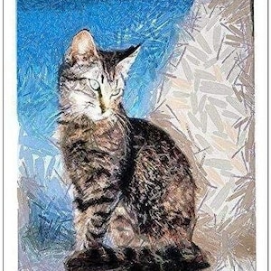 Chats de Grèce - « Teris from Tinos » - Jeu de six cartes de correspondance vierges - - 17 x 19 cm