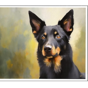 Australischer Kelpie Grußkarten - Set aus 6 Karten