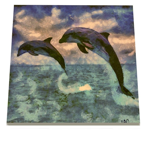 camper dolphin flip flop