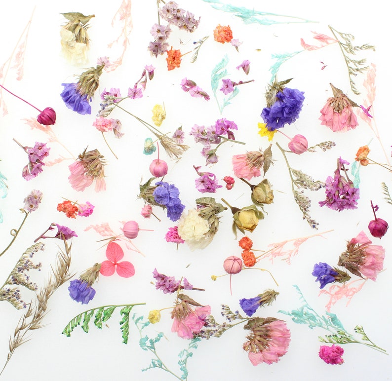 50PCS MORE Dried Mini Flower for Resin Jewelry Mixed Flower Etsy