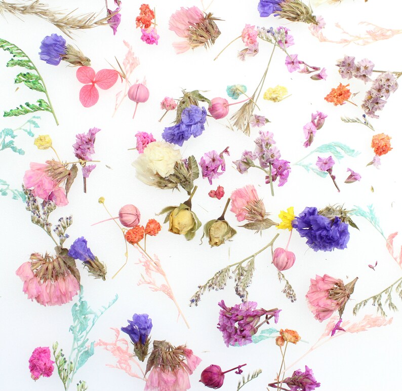 50PCS MORE Dried Mini Flower for Resin Jewelry Mixed Flower Etsy