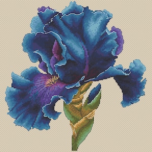 May include: A cross-stitch pattern featuring a large, detailed iris flower in shades of deep blue, purple, and violet. The flower has ruffled petals and a central yellow stamen, set against a light beige fabric background with a visible grid.