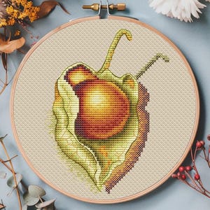 Könnte beinhalten: Kreuzstich-Stickerei einer chinesischen Lampionblume in einem Holzreifen. Die Pflanze zeigt eine leuchtend orangefarbene Frucht, die in einer zarten, hellgrünen Hülle eingeschlossen ist. Das Kreuzstich-Design zeigt detaillierte Schattierungen und Texturen.