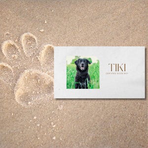 Modelo editável de cartão de visita para cães, cartão de visita engraçado para cães/gatos para download no Canva, cartão de propaganda profissional para animais de estimação para download digital