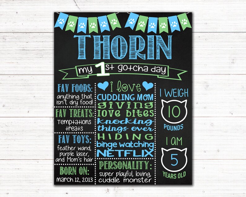 Printable Cat First Gotcha Day Chalkboard Sign Any Age | Etsy