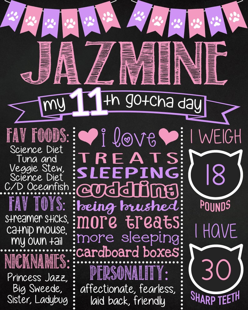 Printable Cat First Gotcha Day Chalkboard Sign Any Age | Etsy
