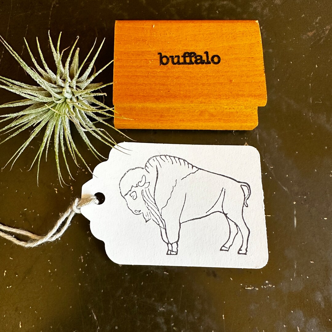 Vintage Buffalo Rubber Stamp Animals in Nature Design Stamps Etsy