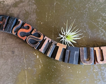 May include: Wooden letterpress printing blocks spelling out the word "ATTITUDE" in a curved line. The letters are a mix of black and brown wood. A small, spiky air plant sits next to the letters on a textured, olive-green surface.