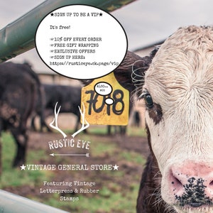 May include: A close-up of a white and brown calf with a yellow tag that says "ALSO... MOO 7048". The calf is looking directly at the camera. The text "RUSTIC EYE VINTAGE GENERAL STORE" is below the calf. The text "Featuring Vintage Letterpress & Rubber Stamps" is below the store name.