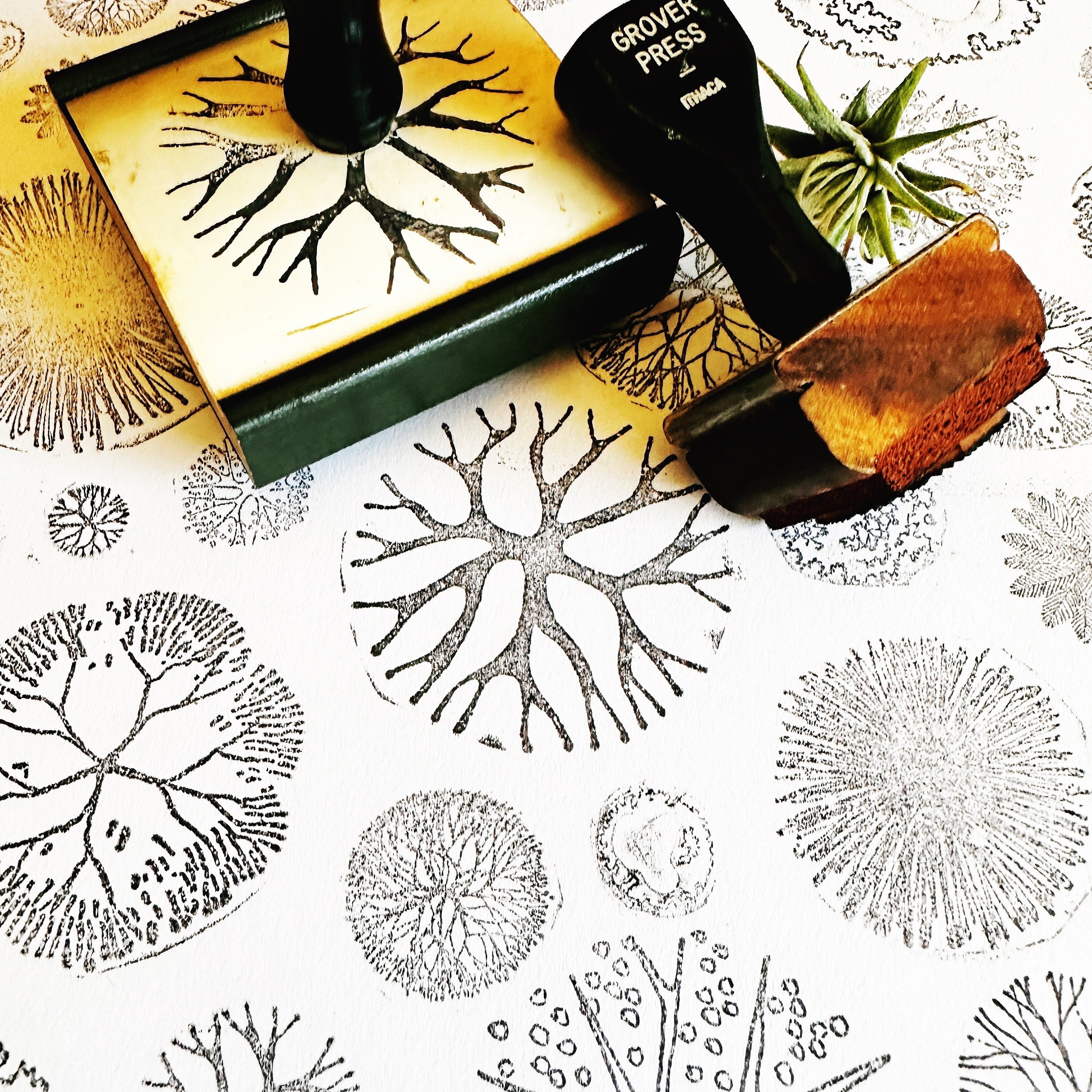 Pattern Stamping Designs Vintage Circular Pattern Stamps, Nature Fractal Designs for Self Care ...