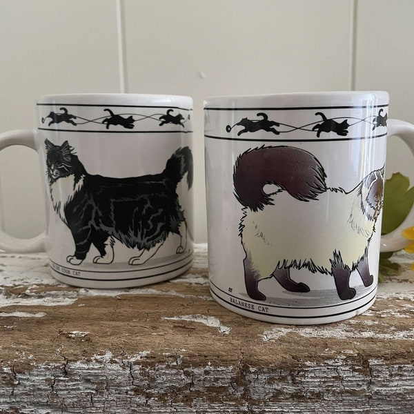 SET Of 2 Cat Mugs, White, Transfer Decal Artwork, Coffee, Tea Large Mugs, Maine Coon, Himalayan, Exotic Cat Breeds, China (2)