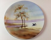Erdmann Schlegelmilch ES Germany Hand Painted Porcelain Plate, Duck, Water, Vintage Prov Saxe German Suhl Landscape Plate, Waterfowl