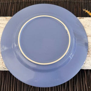 May include: A blue ceramic dinner plate with a white rim.