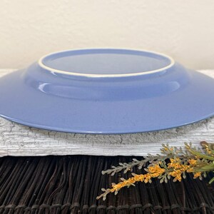 May include: A light blue ceramic plate with a white rim.