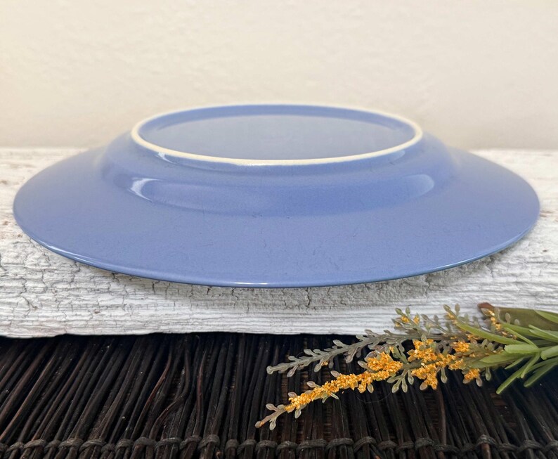 May include: A light blue ceramic plate with a white rim.