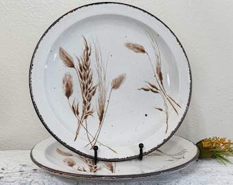 SET Of 2 Stonehenge Midwinter Wild Oats Dinner Plates, White, Brown, Wheat Grain, English Speckled Stoneware Large Plate, England (2)