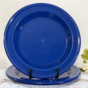May include: Two cobalt blue plates, one resting on a black metal stand, the other below. The plates have a simple, classic design with a slightly raised rim. A decorative flower is visible in the background. These plates are suitable for everyday use.