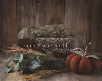 Newborn Digital Backdrop, Newborn Digital Background, Autumn Digital Backdrop, Newborn Digital Prop, Digital Prop, Newborn Prop, Backdrop