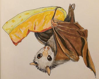 Fruit Bat Illustration Print