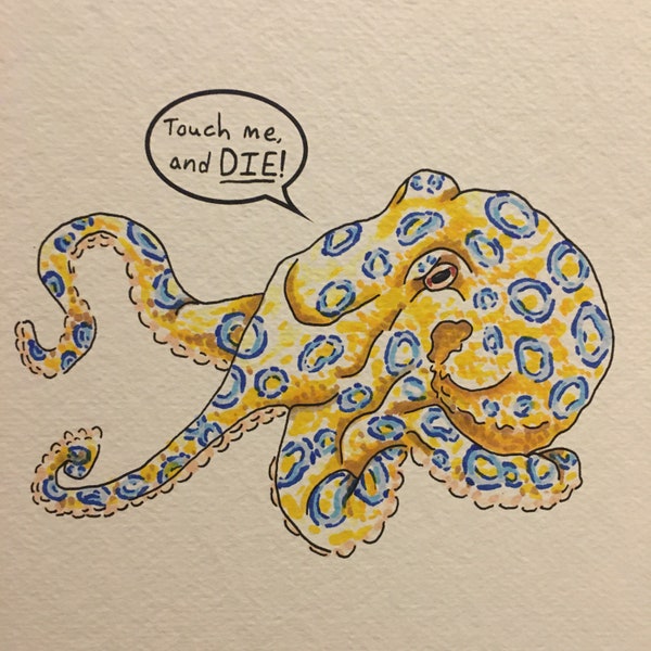 Blue Ringed Octopus, Touch and die.