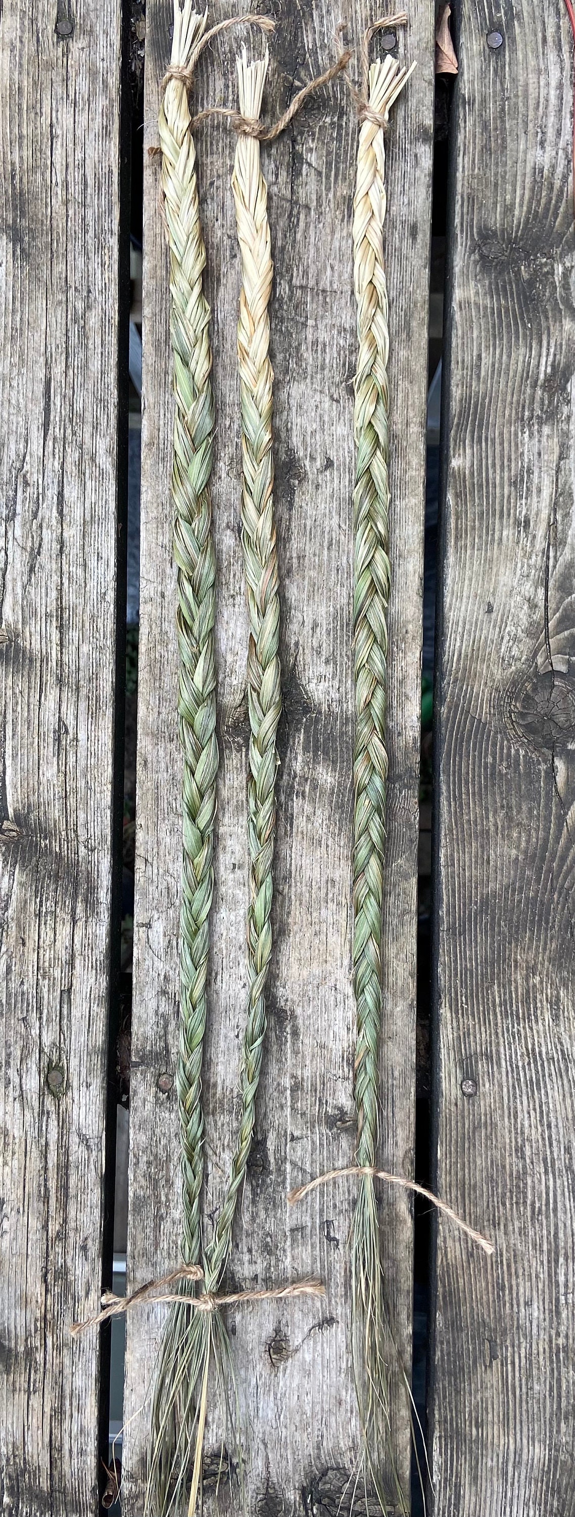 3 Braids of Sweetgrass Bundle. - Etsy