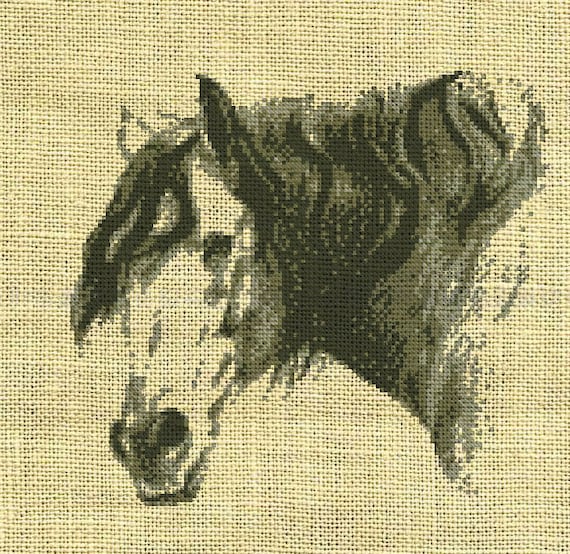 Horse/animal Counted Cross Stitch Pattern Etsy