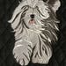 see more listings in the BEARDED COLLIE & OES section
