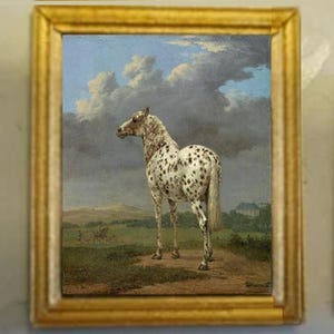 Dollhouse Framed Print: &quot;The Piebald Horse&quot;