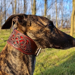 Pierced Leather dog collar, Personalized dog collar, Colorful Leather rustic dog, Celtic Collar or Buckle Collar for Medium to Large Dogs image 1