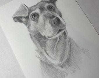Professional Custom Pet Portrait - 5" x 7" - Pencil drawing - Made to order