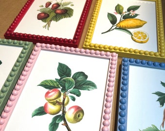 Set of Vintage Style Fruit Prints // x5 Bobbin Frames // Farrow and Ball Colours // Wall Decor