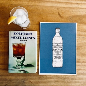 Hereford Dry Gin // Happy Hour // A5 A4 A3 // Stampa senza cornice // di Amy Rose