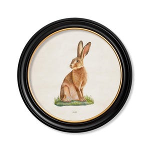 May include: A framed print with a watercolour illustration of a brown hare sitting on grass. The artwork is set against a cream background and framed in a black round frame with a gold inner edge. The word "HARE" is printed at the bottom.
