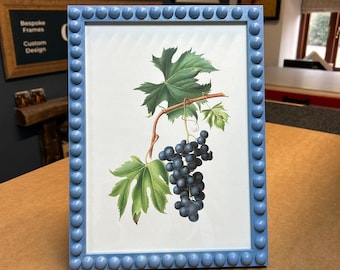 Vintage Style Grapes Fruit Print // Bobbin Frame // Farrow & Ball Colour Finish