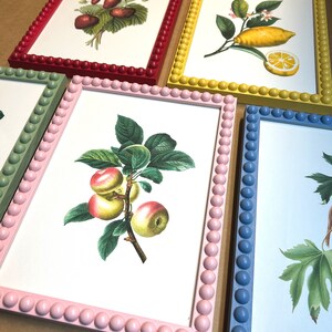 Pode incluir: Cinco molduras de fotos de cores diferentes com uma borda de contas. Cada moldura tem uma ilustra&ccedil;&atilde;o bot&acirc;nica diferente dentro. As molduras s&atilde;o vermelha, amarela, rosa, verde e azul.