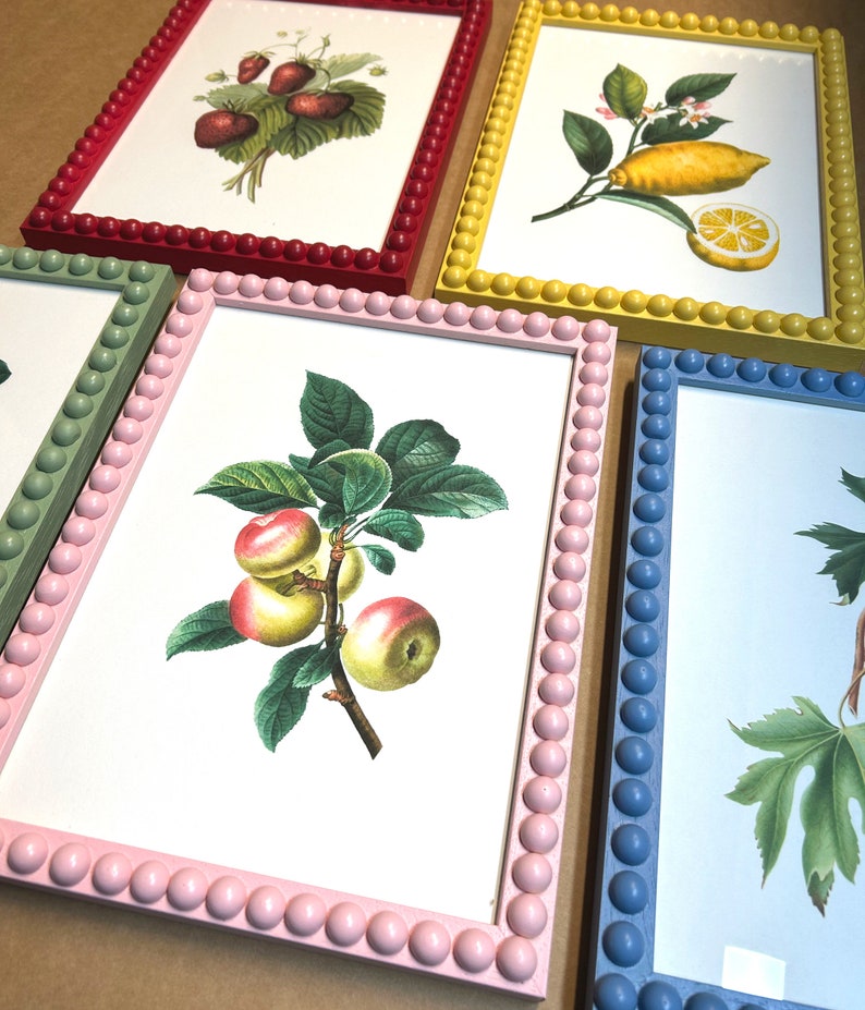 Pode incluir: Cinco molduras de fotos de cores diferentes com uma borda de contas. Cada moldura tem uma ilustra&ccedil;&atilde;o bot&acirc;nica diferente dentro. As molduras s&atilde;o vermelha, amarela, rosa, verde e azul.