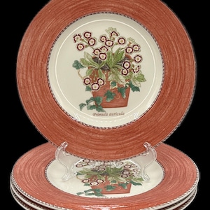 Wedgwood Sarah's Garden - Etsy