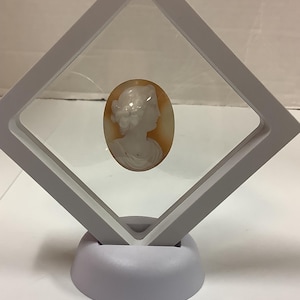 Shell Cameo
