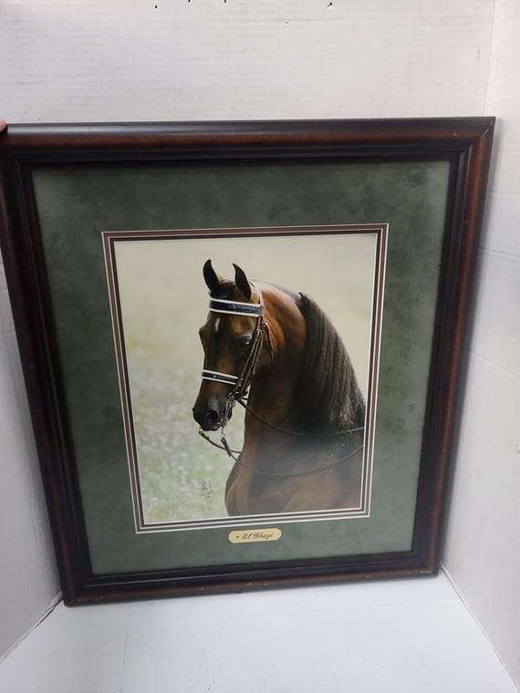Framed Horse Photo