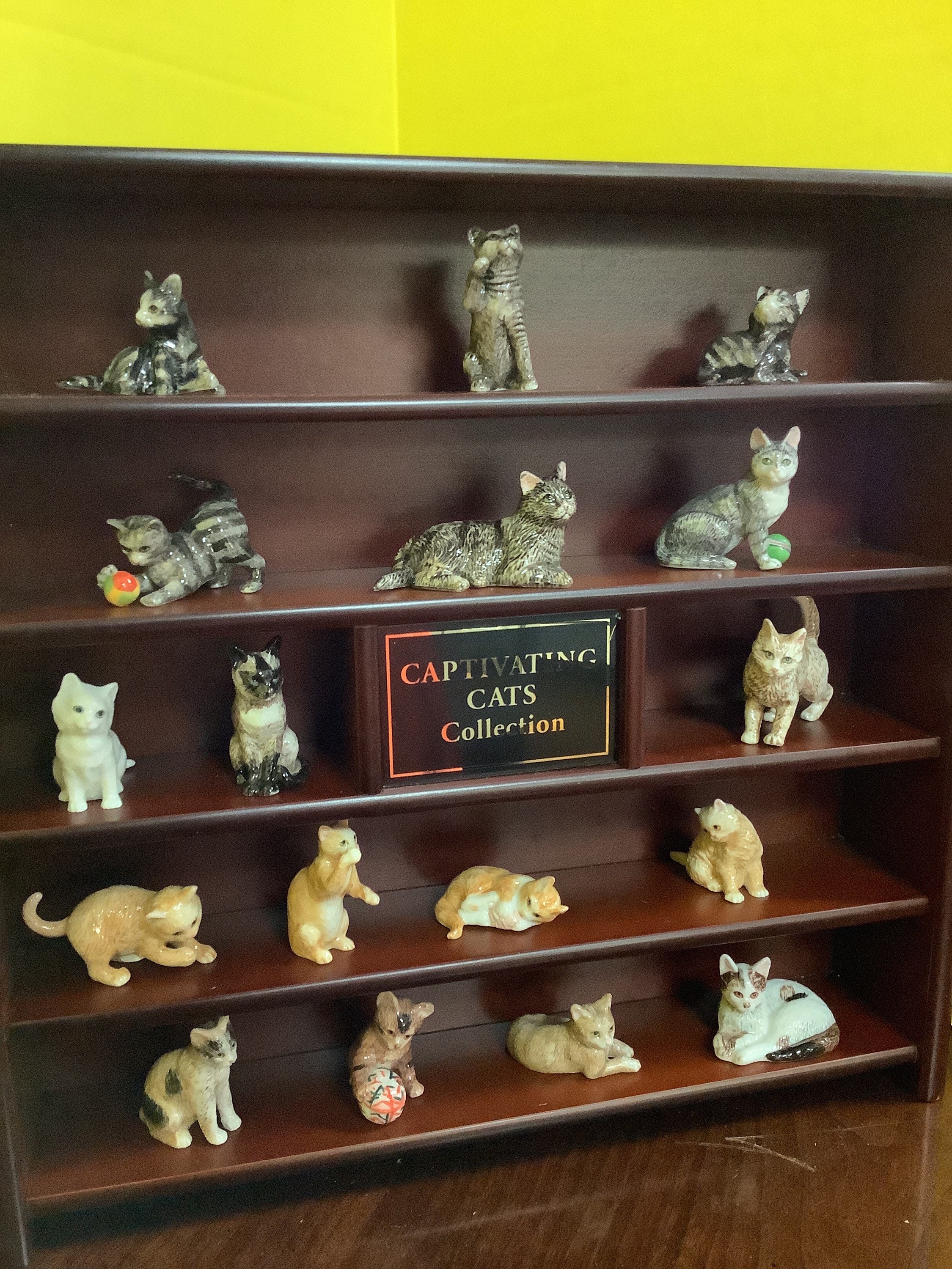Vietkitty'S Captivating Cat Collection - dxlki0v