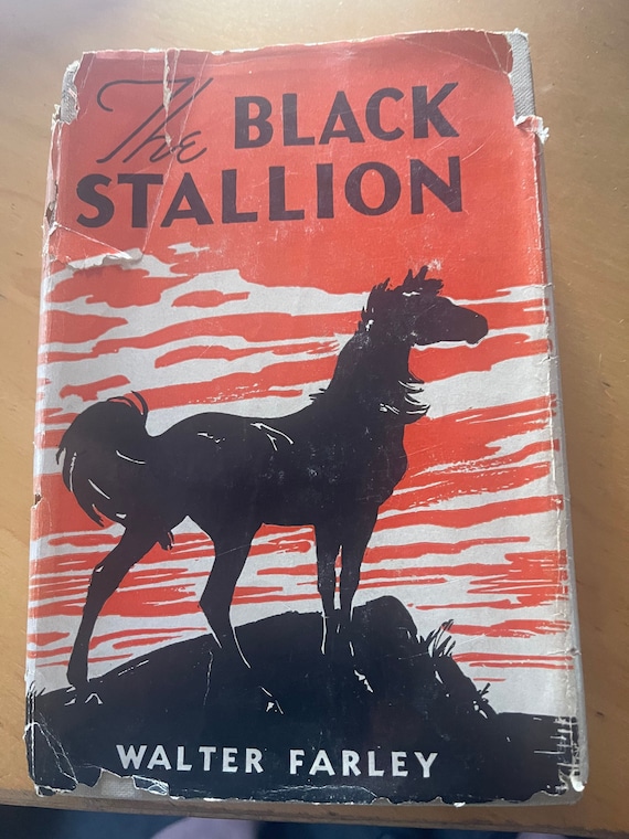 The Black Stallion