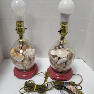 May include: Two seashell lamps with clear glass globes filled with various seashells. The lamps have gold-colored bases and bulb fixtures, and sit on red bases. Each lamp has a white light bulb. Green cords with plugs are visible.