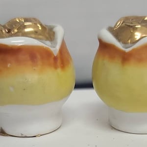 Yellow rose buds salt and pepper shakers
