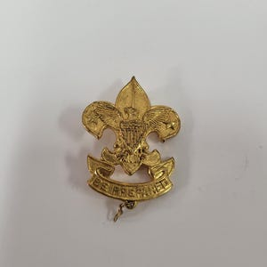 Boy Scouts Pin