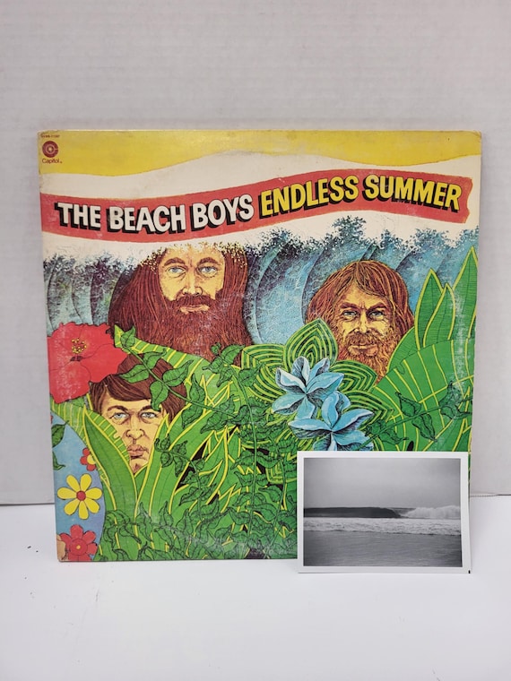 Beach Boys Endless Summer Record