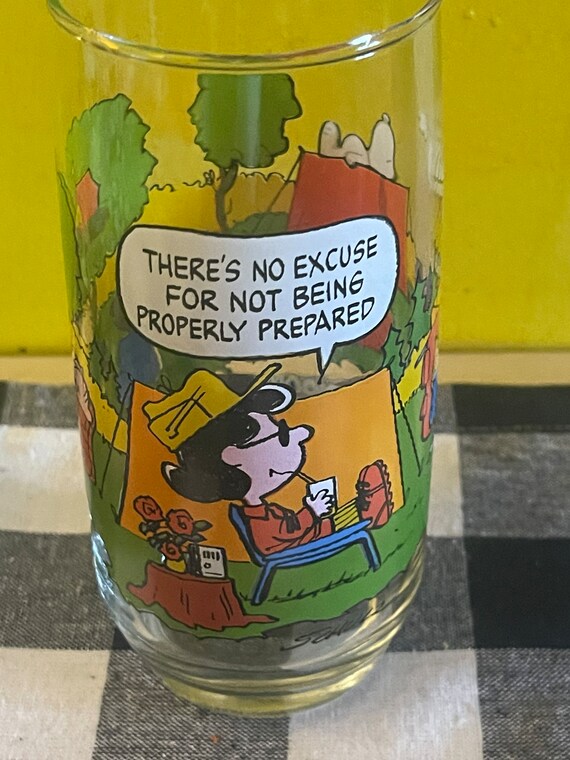 Camp Snoopy Mc Donald’s Collector’s Glass