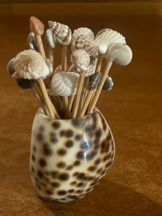 Seashell toothpick holder