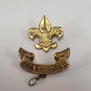 Boy Scouts Pin Set
