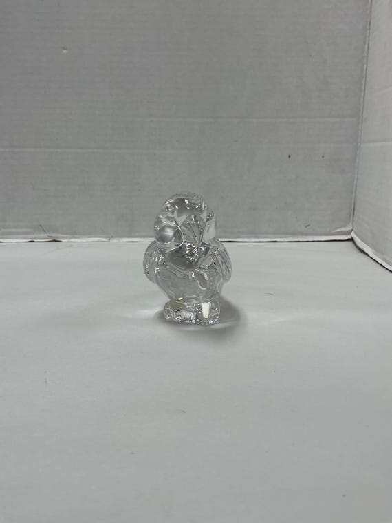 Crystal parakeet